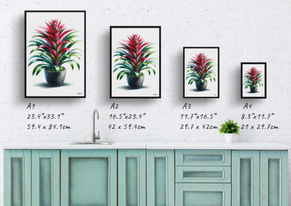 watercolour realist home plants bromeliadsbromeliaceae print size comparison