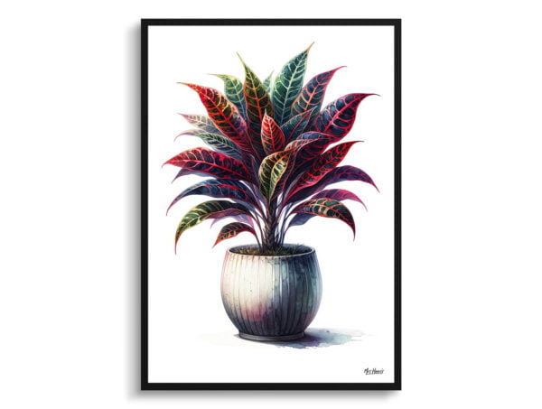 watercolour realist home plants crotoncodiaeum variegatum front view