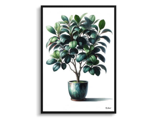 watercolour realist home plants ficus audreyficus benghalensis front view