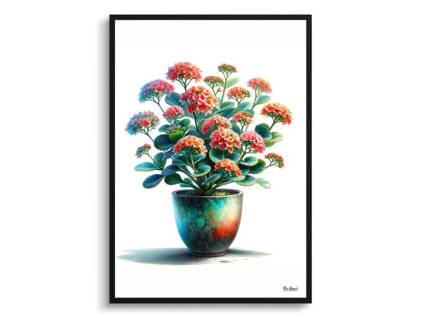 watercolour realist home plants kalanchoeblossfeldiana front view