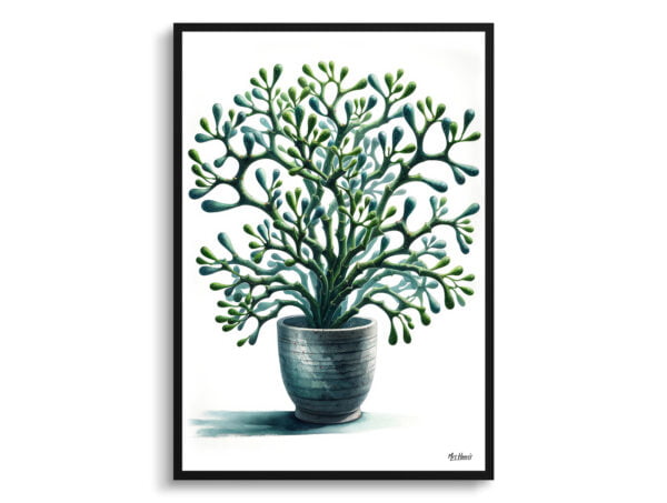 watercolour realist home plants mistletoe cactusrhipsalis baccifera front view