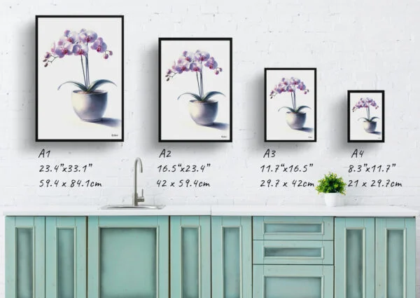 watercolour realist home plants moth orchidphalaenopsis amabilis print size comparison