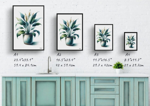 watercolour realist home plants peace lilyspathiphyllum wallisii print size comparison