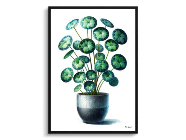 watercolour realist home plants pileapilea peperomioides front view