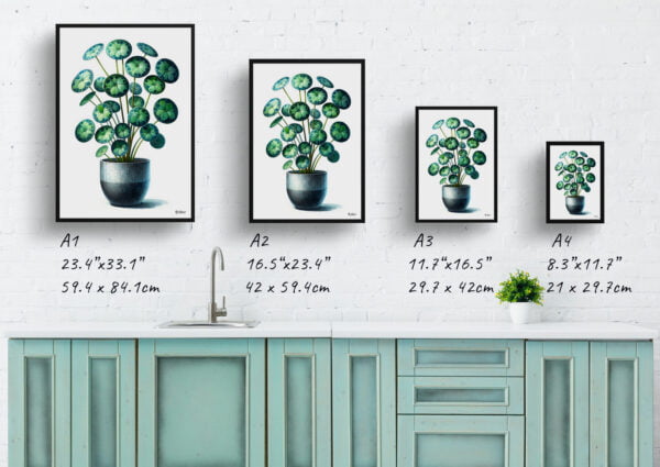 watercolour realist home plants pileapilea peperomioides print size comparison