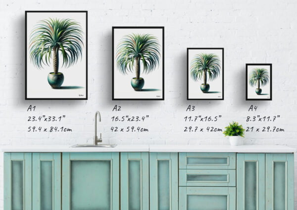 watercolour realist home plants ponytail palmbeaucarnea recurvata print size comparison