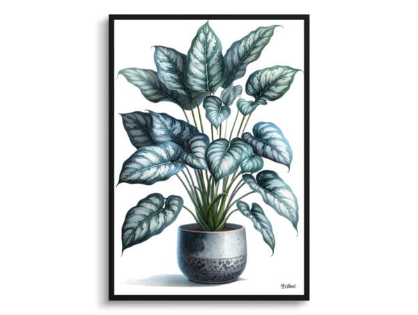 watercolour realist home plants silver leaf philodendronphilodendron brandtianum front view