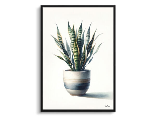 watercolour realist home plants snake plantdracaena trifasciata front view