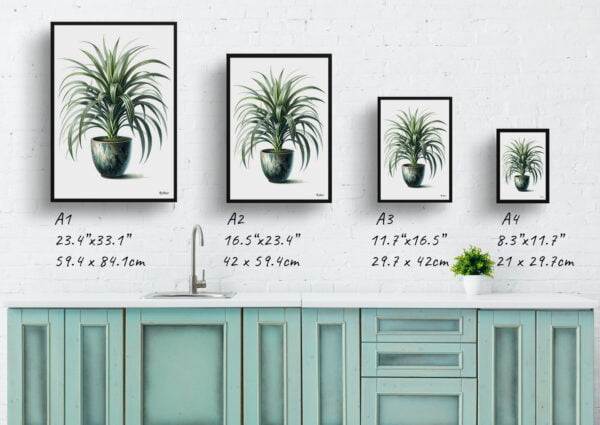 watercolour realist home plants spider plantchlorophytum comosum print size comparison