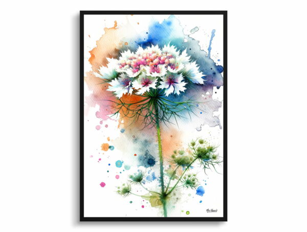 watercolour blotted flowers queen annes lacedaucus carota front view 1