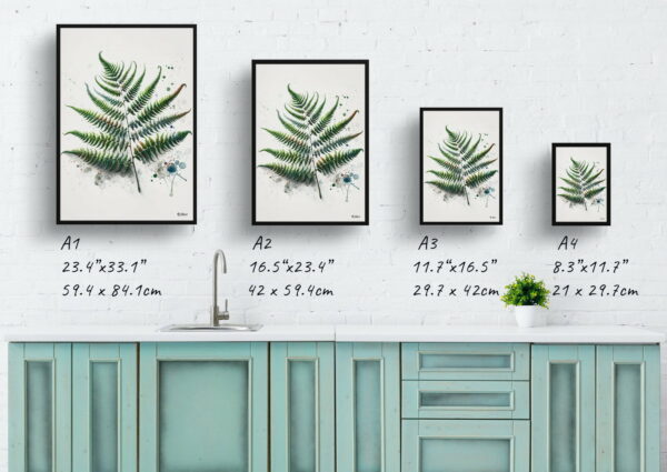 watercolour blotted flowers sensitive fernonoclea print size comparison 1