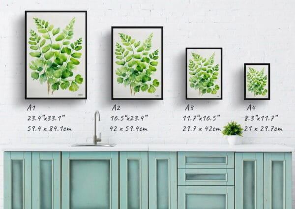 watercolour botanical print flowers adiantum pedatum minimalist print size comparison 1