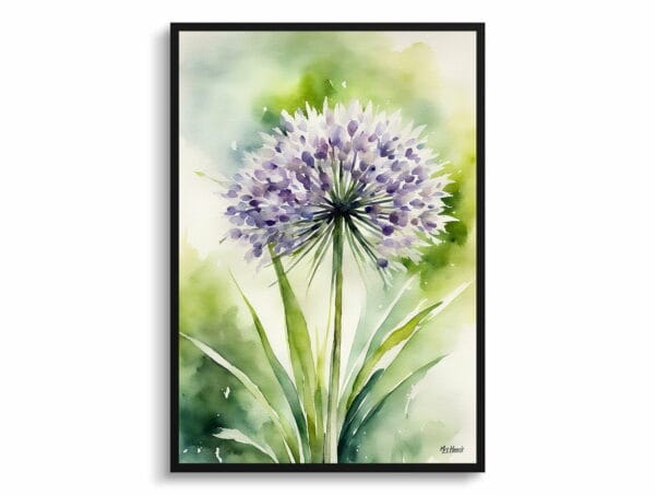 watercolour botanical print flowers allium nigrum front view 1