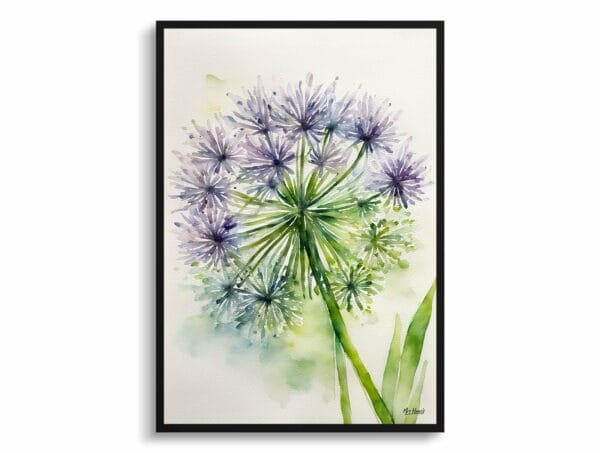 watercolour botanical print flowers allium nigrum minimalist front view 1