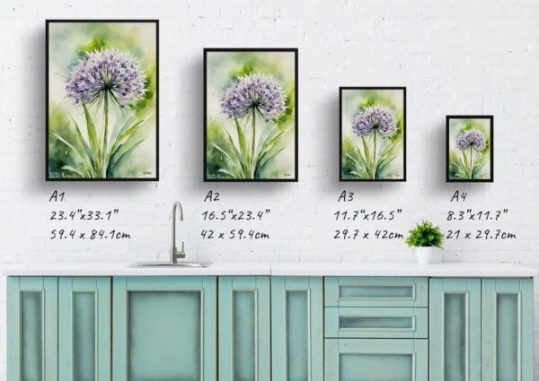 watercolour botanical print flowers allium nigrum print size comparison 1