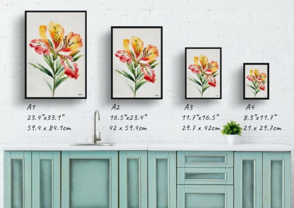 watercolour botanical print flowers alstroemeria minimalist print size comparison 1