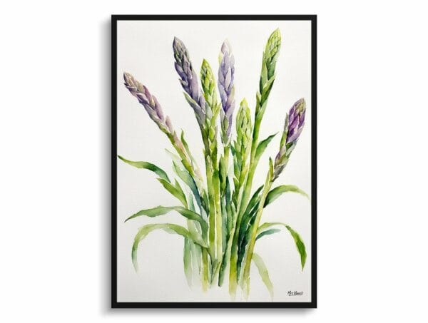 watercolour botanical print flowers asparagus officinalis gijnlim minimalist front view 1