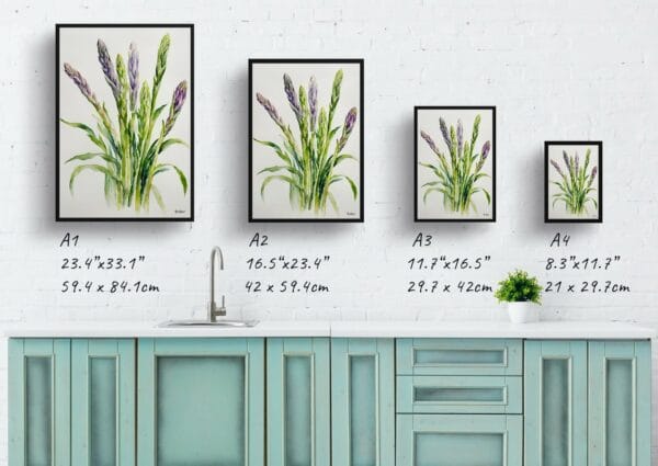 watercolour botanical print flowers asparagus officinalis gijnlim minimalist print size comparison 1