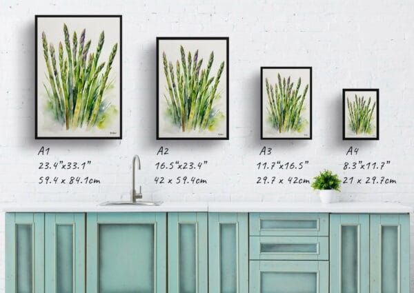 watercolour botanical print flowers asparagus officinalis gijnlim print size comparison 1