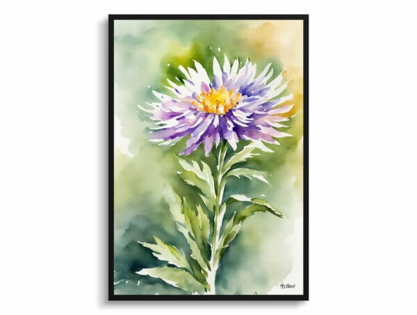 watercolour botanical print flowers aster front view 1