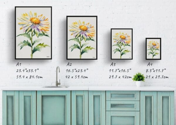 watercolour botanical print flowers aster minimalist print size comparison 1