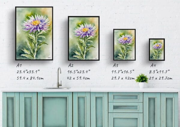 watercolour botanical print flowers aster print size comparison 1