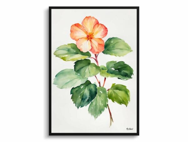 watercolour botanical print flowers begonia minimalist front view 1