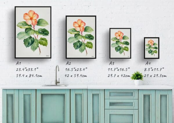 watercolour botanical print flowers begonia minimalist print size comparison 1