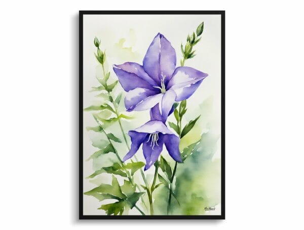 watercolour botanical print flowers bellflower front view 1