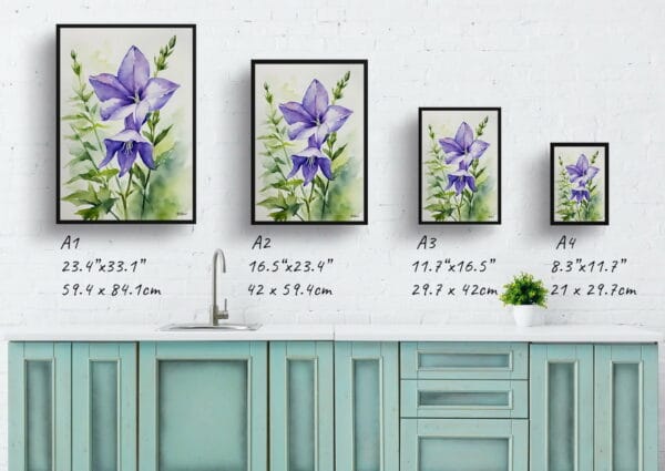 watercolour botanical print flowers bellflower print size comparison 1