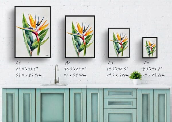 watercolour botanical print flowers bird of paradise minimalist print size comparison 1