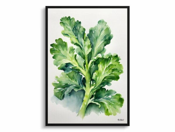 watercolour botanical print flowers brassica oleracea var gemmifera rubine minimalist front view 1