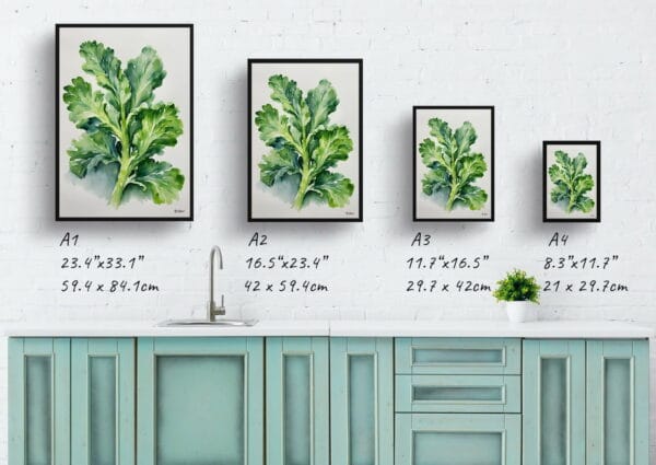 watercolour botanical print flowers brassica oleracea var gemmifera rubine minimalist print size comparison 1