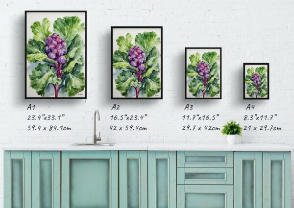 watercolour botanical print flowers brassica oleracea var gemmifera rubine print size comparison 1