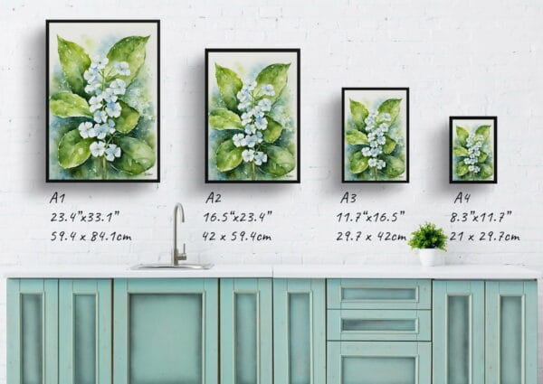 watercolour botanical print flowers brunnera macrophylla betty bowring boraginaceae print size comparison 1