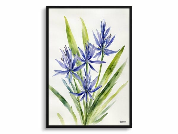 watercolour botanical print flowers camassia leichtlinii subsp minimalist front view 1