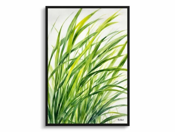 watercolour botanical print flowers carex oshimensis everillo front view 1