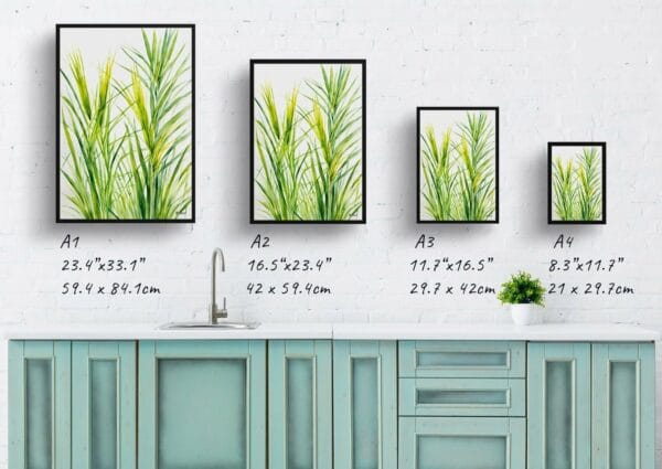 watercolour botanical print flowers carex oshimensis everillo minimalist print size comparison 1