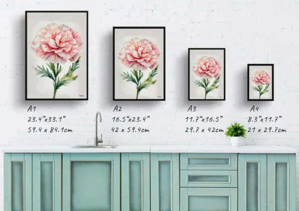 watercolour botanical print flowers carnation minimalist print size comparison 1