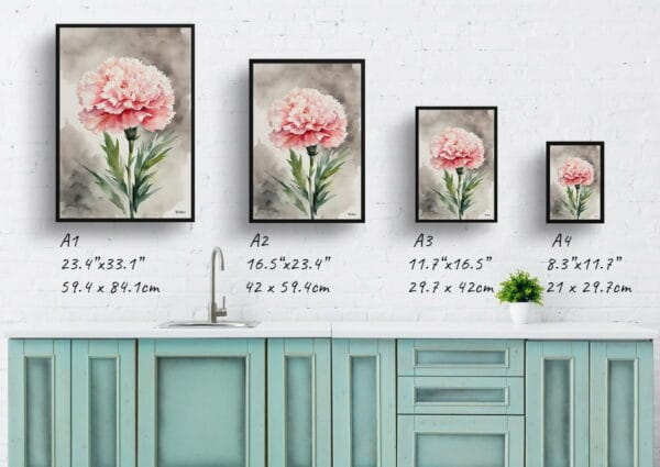 watercolour botanical print flowers carnation print size comparison 1