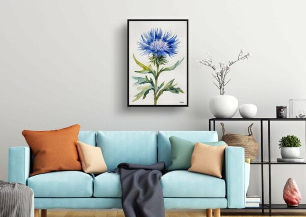 watercolour botanical print flowers centaurea cyanus blue boy minimalist living room 1