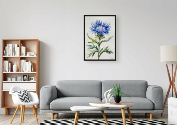 watercolour botanical print flowers centaurea cyanus blue boy minimalist office 1