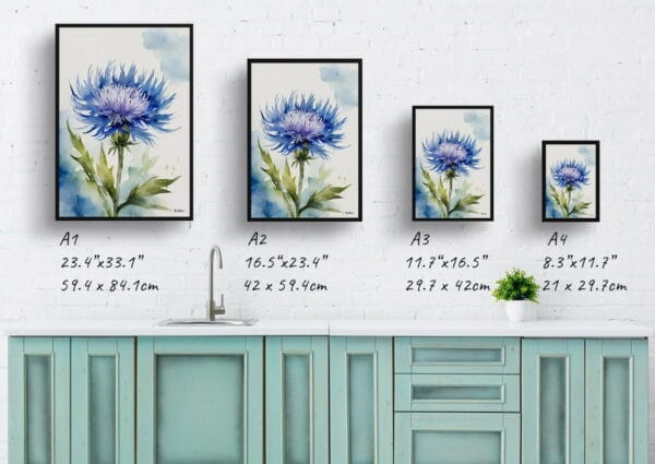 watercolour botanical print flowers centaurea cyanus blue boy print size comparison 1