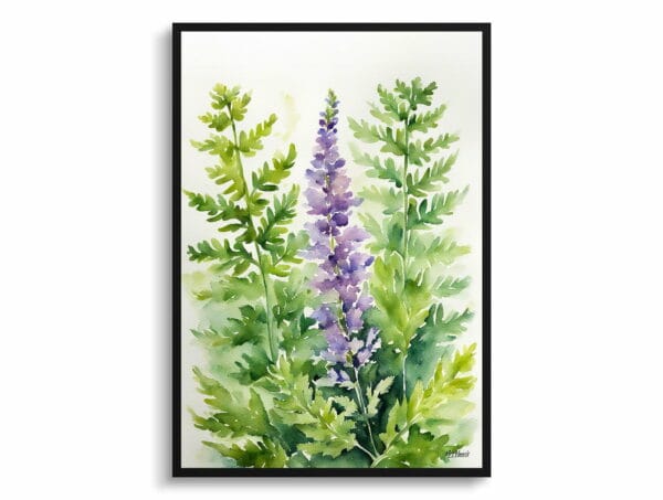 watercolour botanical print flowers cheilanthes lanosa front view 1