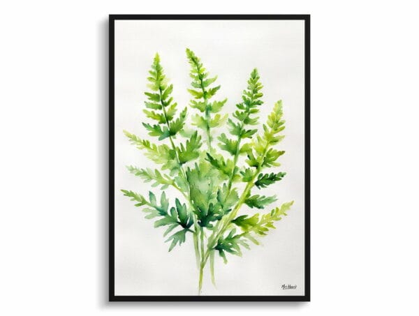 watercolour botanical print flowers cheilanthes lanosa minimalist front view 1