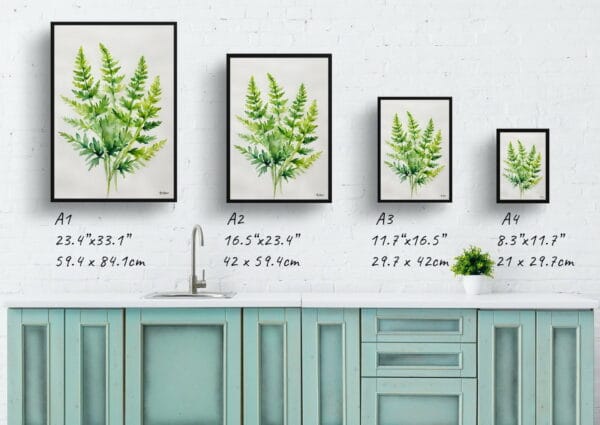 watercolour botanical print flowers cheilanthes lanosa minimalist print size comparison 1