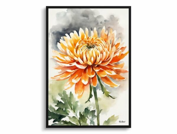 watercolour botanical print flowers chrysanthemum front view 1