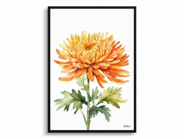 watercolour botanical print flowers chrysanthemum minimalist front view 1