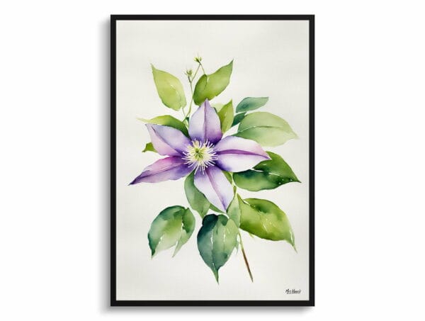 watercolour botanical print flowers clematis gravetye beauty minimalist front view 1