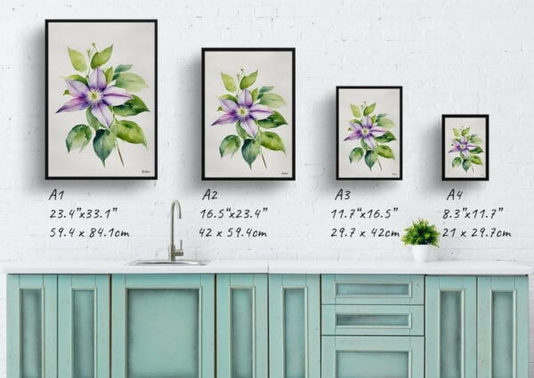 watercolour botanical print flowers clematis gravetye beauty minimalist print size comparison 1